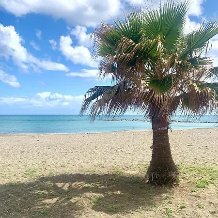 Small Oasis P&o Serviced