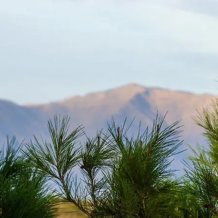 Small Oasis P&o Serviced Appartamento