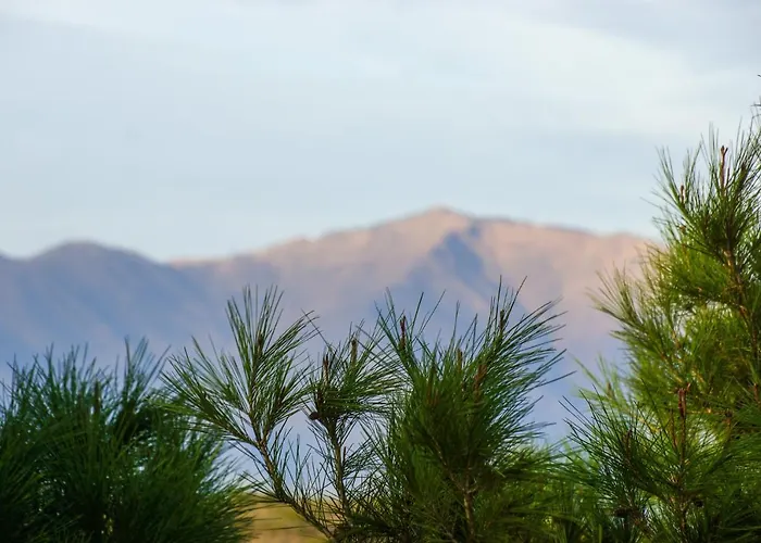 Small Oasis P&o Serviced דירה