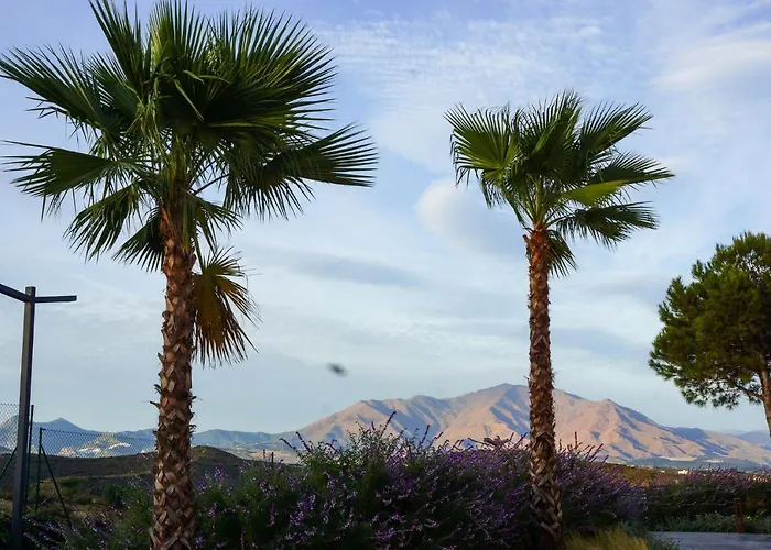 Small Oasis P&o Serviced דירה